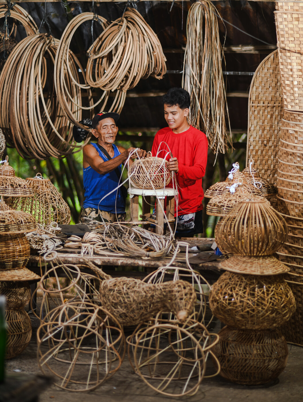 Sustainable Rattan Harvesting in Indonesia: Community-Based Plantations